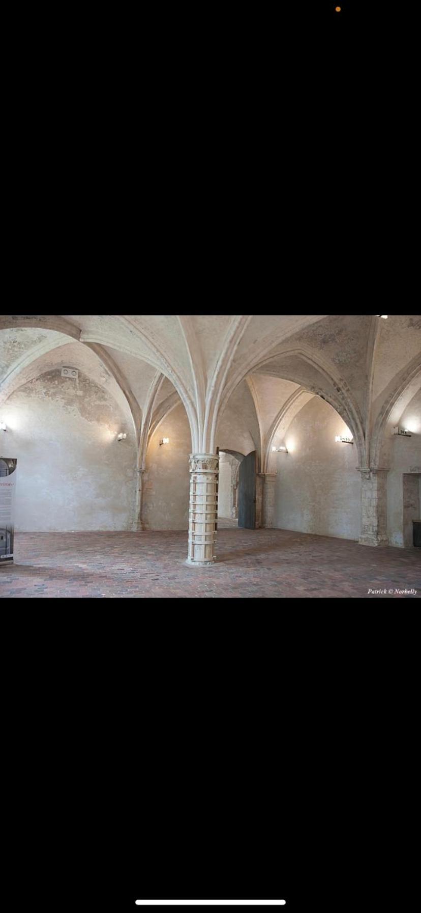 Maison Ancienne Renovee Tout Confort Narcy エクステリア 写真