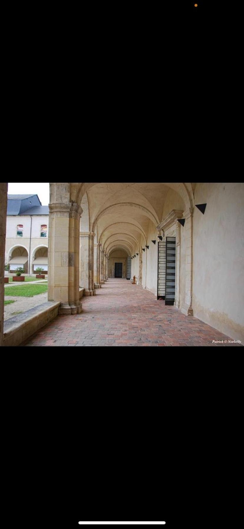 Maison Ancienne Renovee Tout Confort Narcy エクステリア 写真